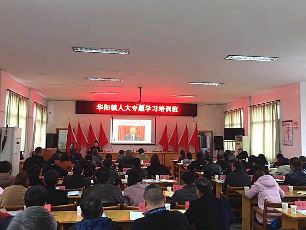 450.jpg